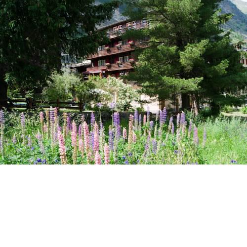 Hotel Alpina