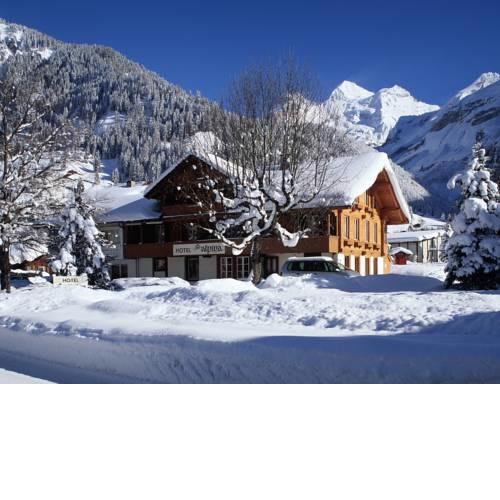 Hotel Alpina