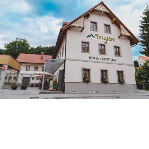 Hotel and guest house Triglav Dobrna