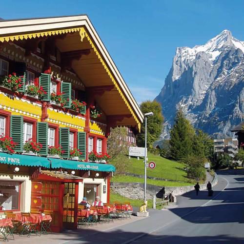 Hotel Bellevue Pinte