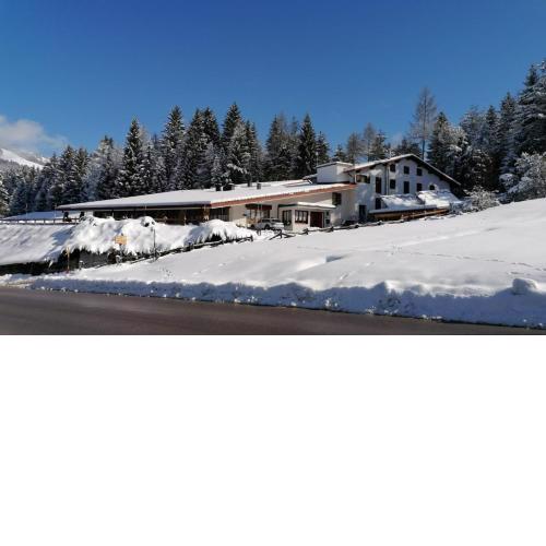 Hotel Casa Alpina
