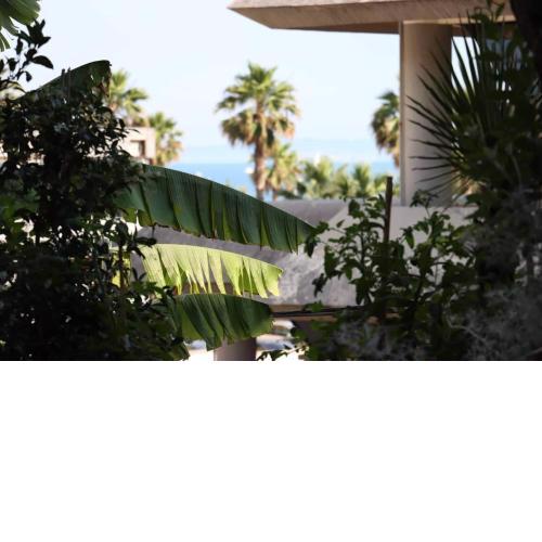 Hotel Ceka