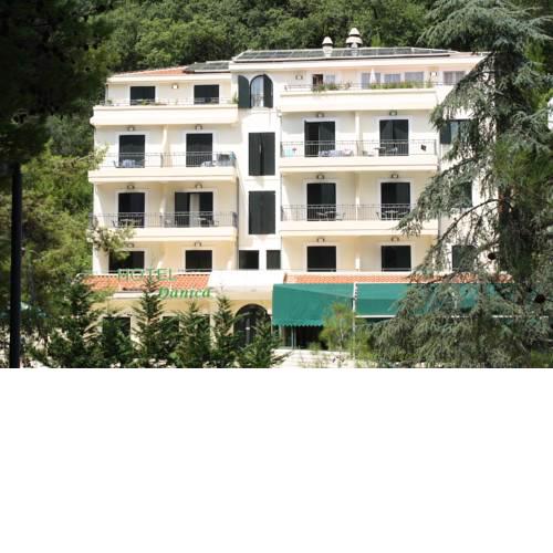 Hotel Danica
