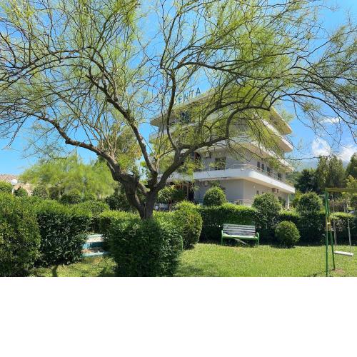 Hotel Denta