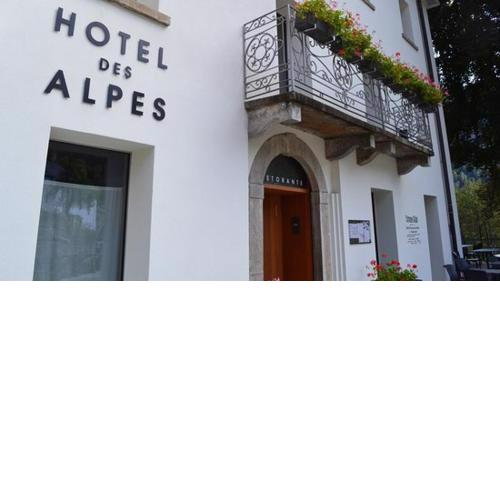 Hotel des Alpes Dalpe