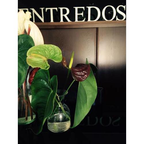 Hotel Entredos
