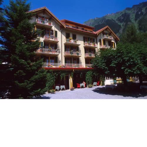 Hotel Falken