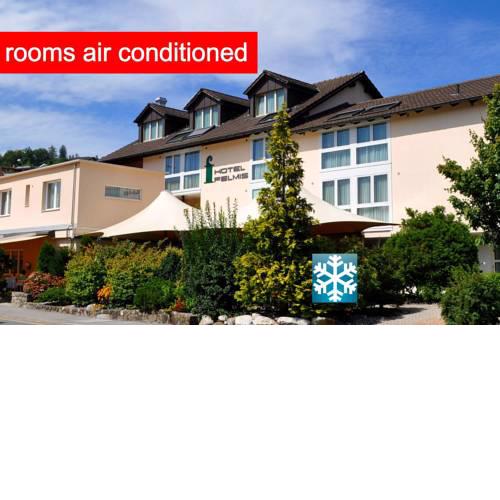 Hotel Felmis
