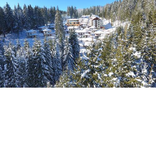 Hotel Forest Glade