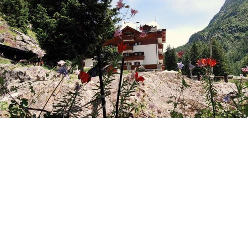 Hotel Gembro