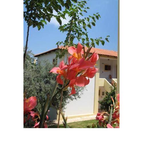Hotel Heleni Apartments