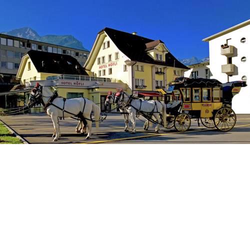 Hotel Höfli