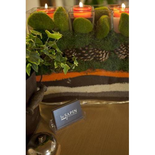 Hotel Le Sapin