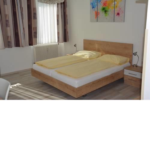 Hotel Lenau