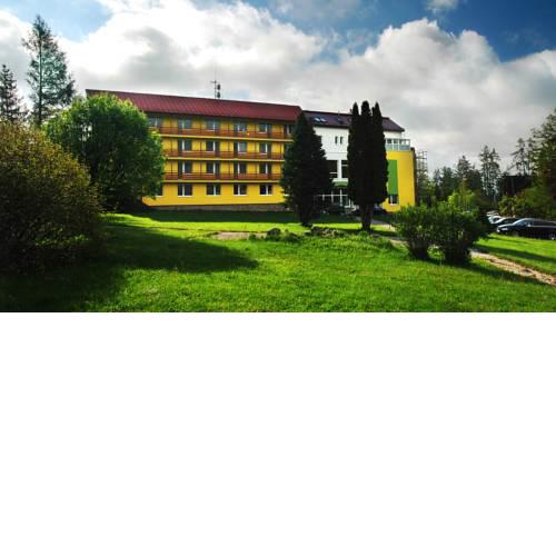 Hotel Lesana