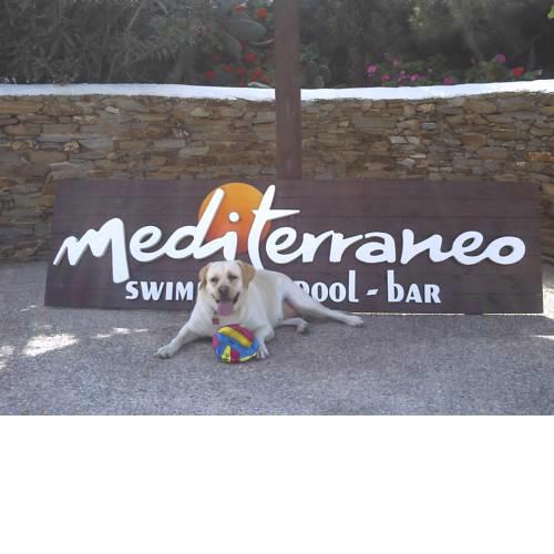Hotel Mediterraneo