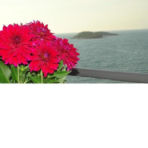 Hotel Meta Ksamil