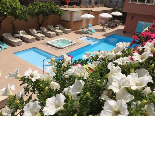 Hotel Monte Rosa