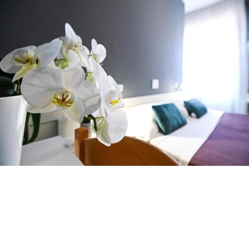 Hotel Montebello nuova gestione