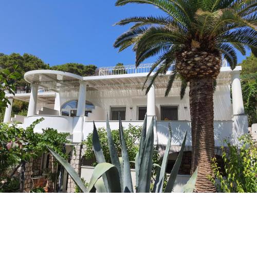 Hotel Nautilus
