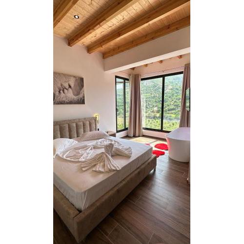 Hotel Nemercka