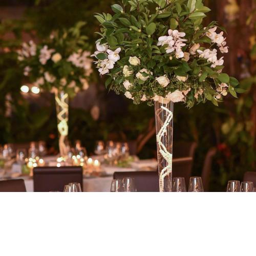 Hotel Papadopoli Venezia - MGallery Collection