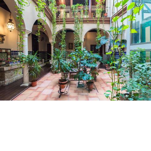 Hotel Patio de las Cruces
