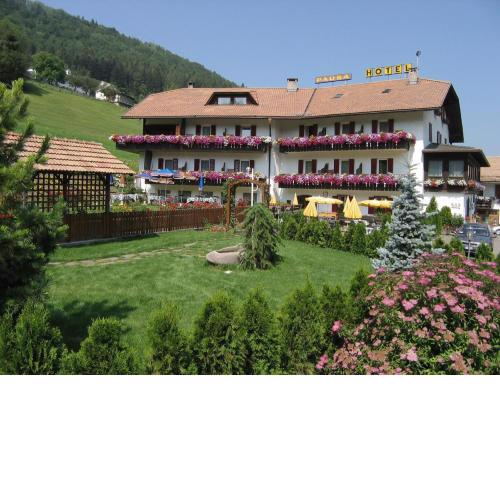 Hotel Pausa