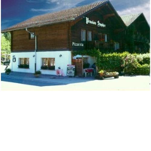 Hotel Pension Spycher