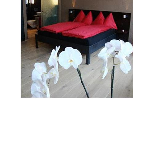 Hotel QuersINN