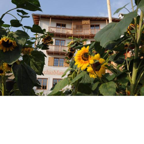 Hotel Relais Vecchio Maso