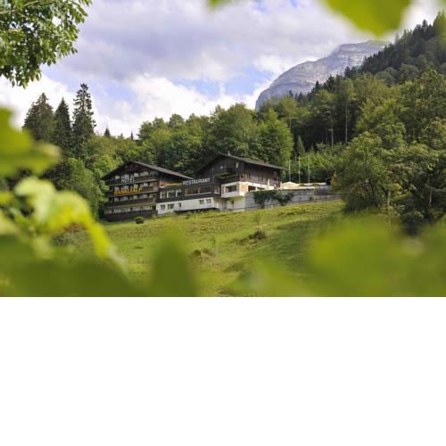 Hotel-Restaurant Bänklialp