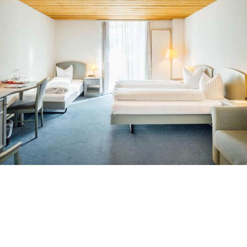 Hotel-Restaurant Bellevue