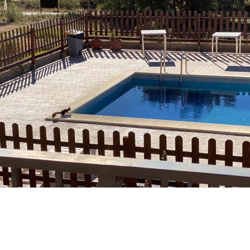 Hotel restaurante rural cau blanch