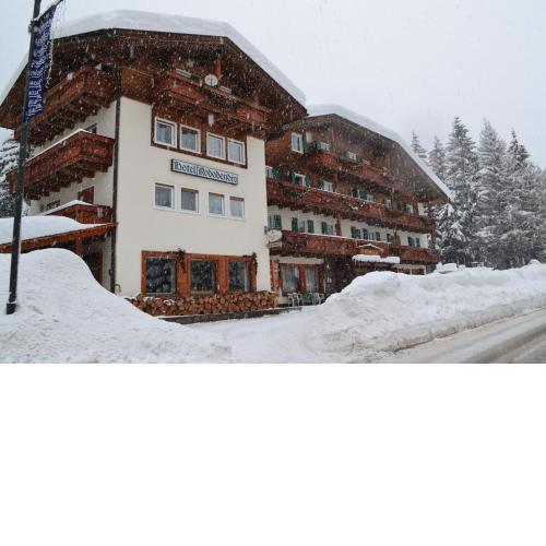 Hotel Rododendro