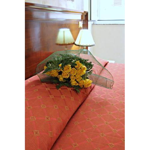 Hotel Rosetta