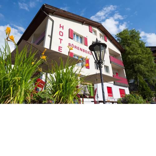 Hotel Sörenberg