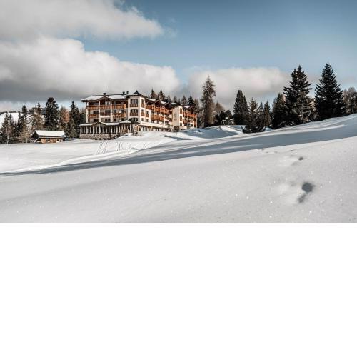 Hotel Steger-Dellai