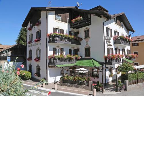 Hotel Stella Alpina