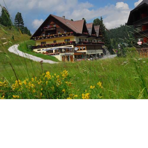 Hotel Turracherhof