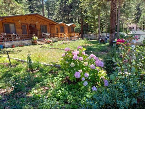Hotel Uji I Panjes Llogara Log Cabins