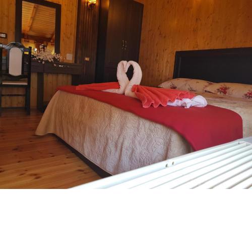 Hotel Vataksi