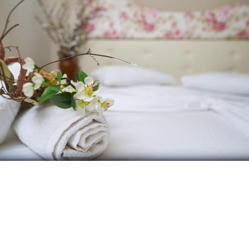 Hotel Viky