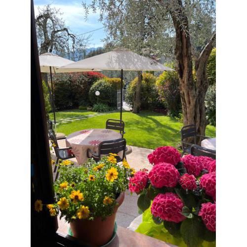 Hotel Villa Nadia