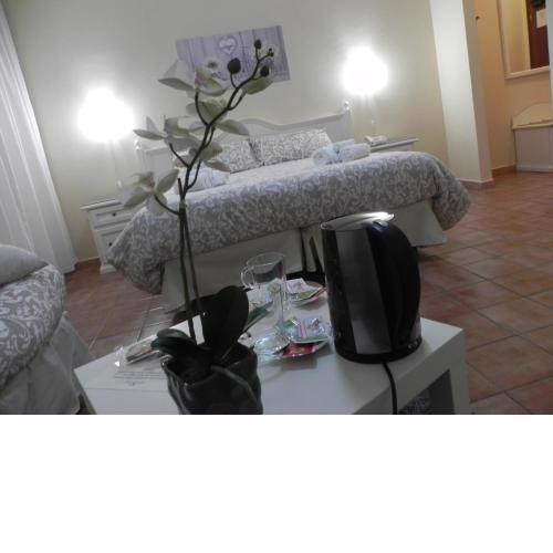 Hotel Villa Romana