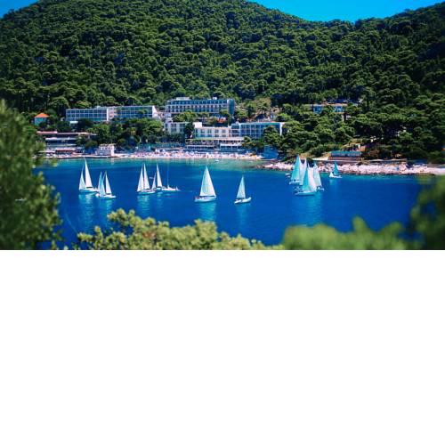 Hotel Vis