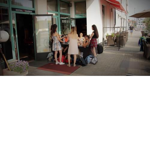 Hotel Vodisek