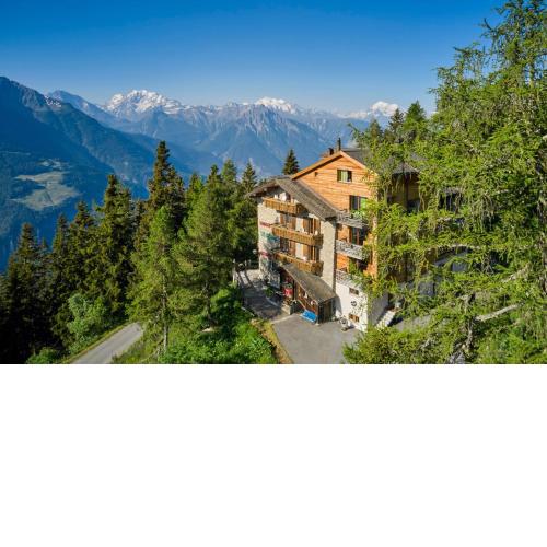 Hotel Waldhaus