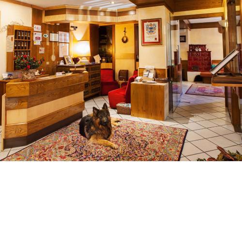 Hotel Wanda
