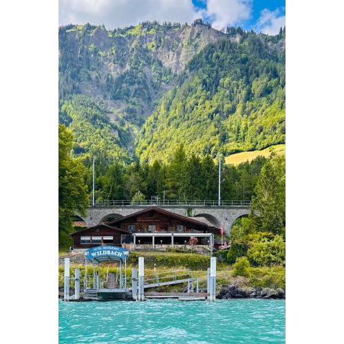 Hotel Wildbach Brienz